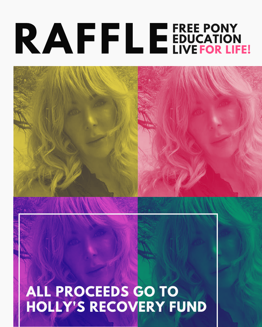 $25 Raffle Ticket for a Lifetime Subscription to Pony Education LIVE (for Holly)