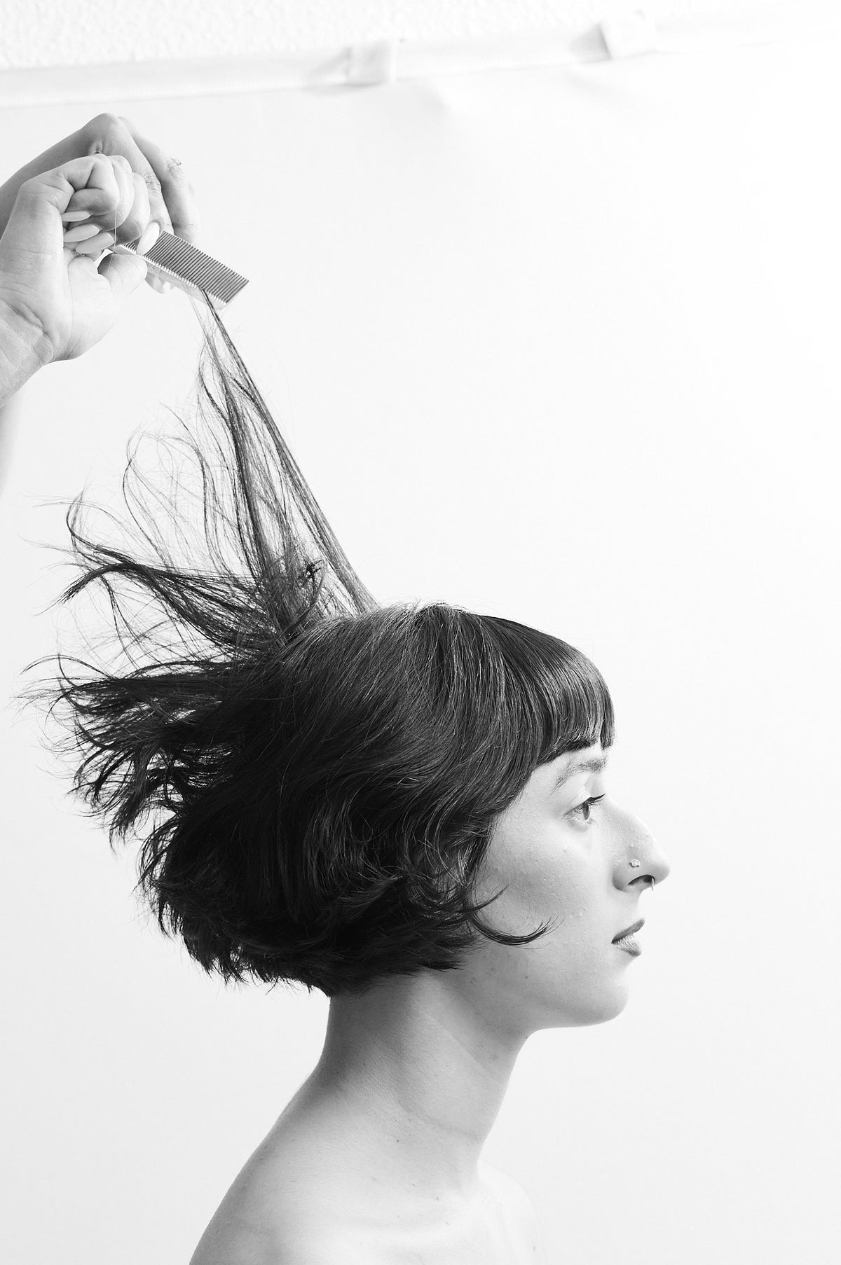 Shags, Bowls, Bobs, Bangs & Bits · 2024